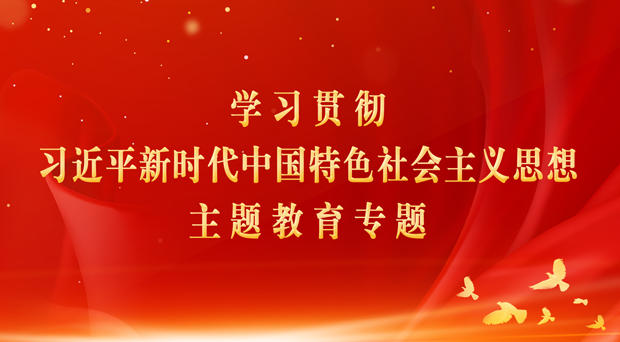 學(xué)習(xí)貫徹習(xí)近平新時(shí)代中國(guó)特色社會(huì)主義思想主題教育